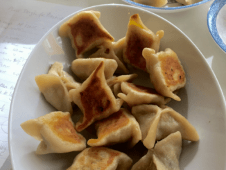 pan fried chicken potstickers in an oval plate