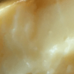 close up of steamed egg custard